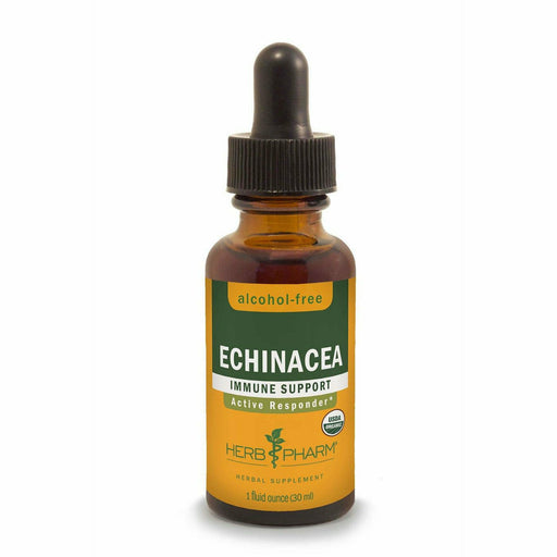 Herb Pharm Echinacea Alcohol-Free, 1 fl oz, front of dropper bottle