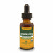 Herb Pharm Echinacea Alcohol-Free, 1 fl oz, front of dropper bottle
