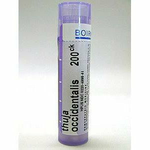 thuja occidentalis homeopathic Thuja occidentalis 200CK 80 plts by Boiron