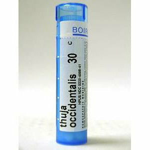 Thuja occidentalis 30C 80 plts by Boiron